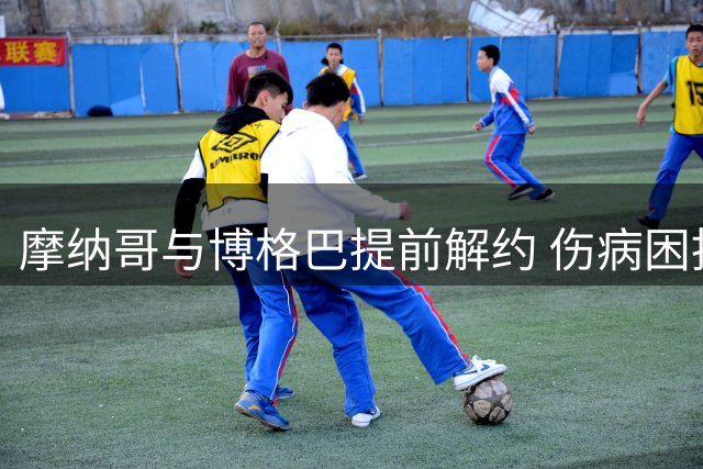 摩纳哥与博格巴提前解约 伤病困扰成主因