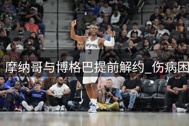 摩纳哥与博格巴提前解约 伤病困扰成主因